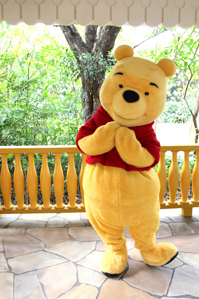 Winnie the Pooh Costumes Through the Years